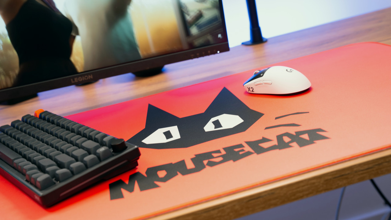 Mousecat — lifestyle