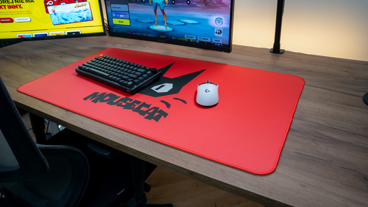 Mousecat — lifestyle
